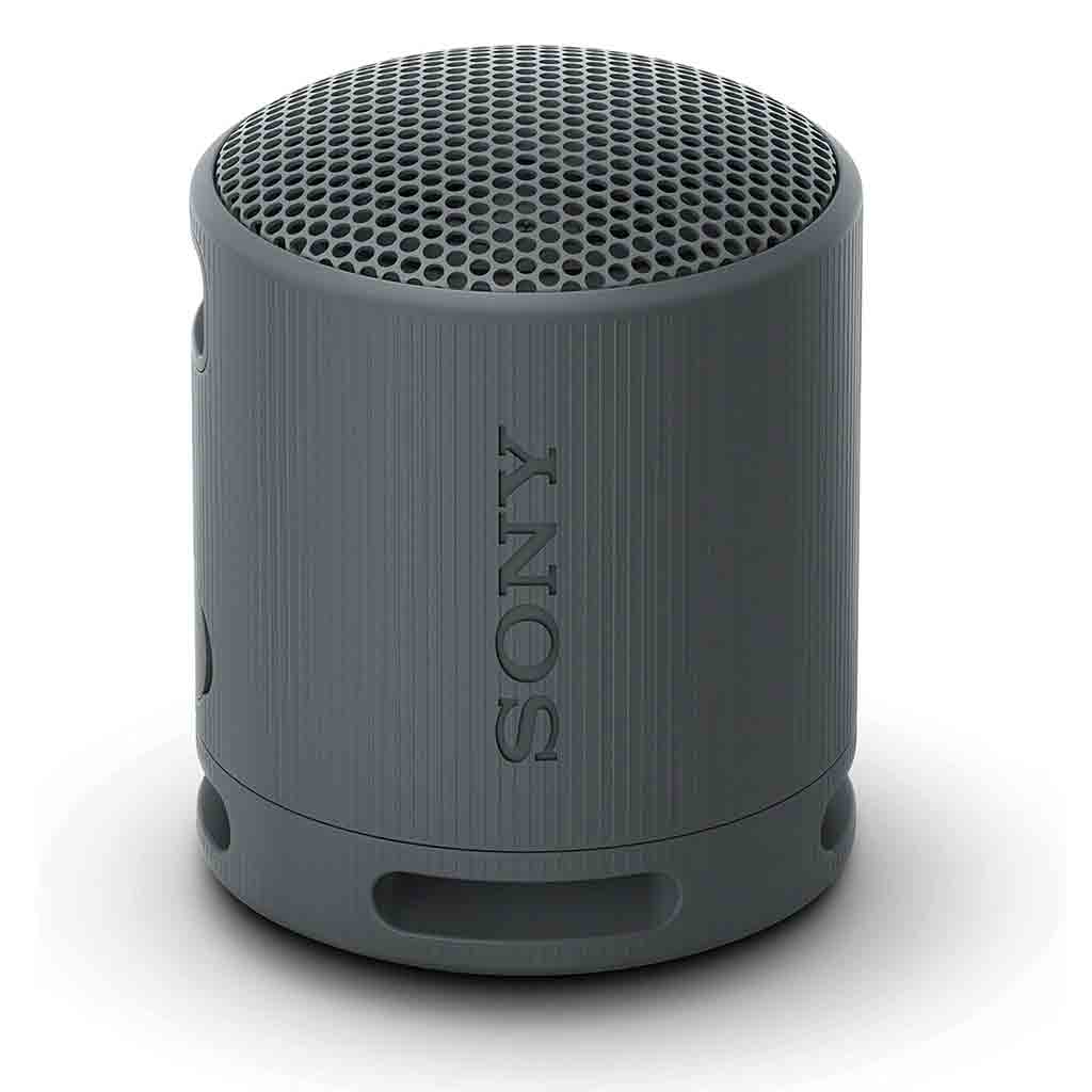  Sony-Srs-Xb100